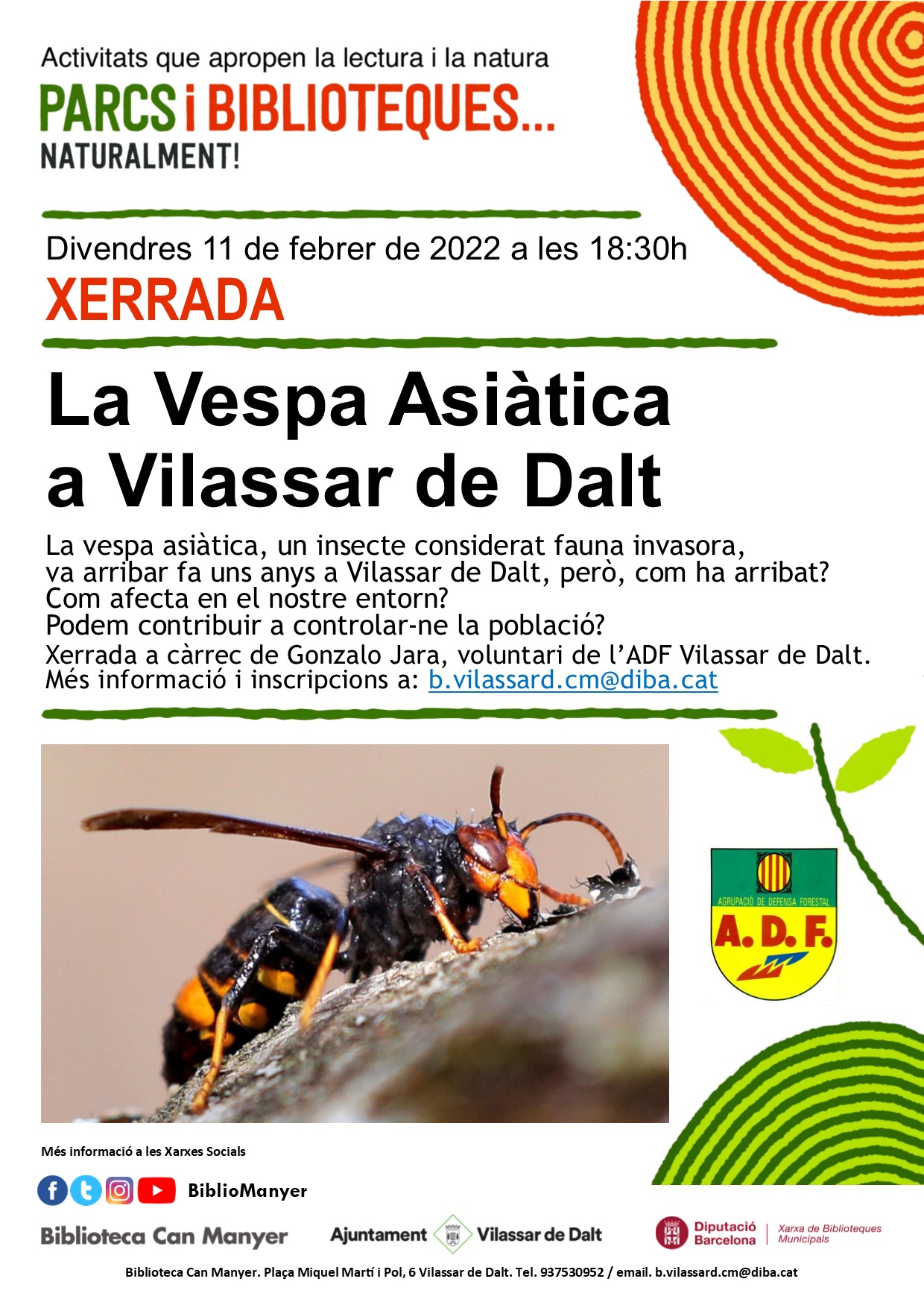 Xerrada: La vespa asiàtica a Vilassar de Dalt