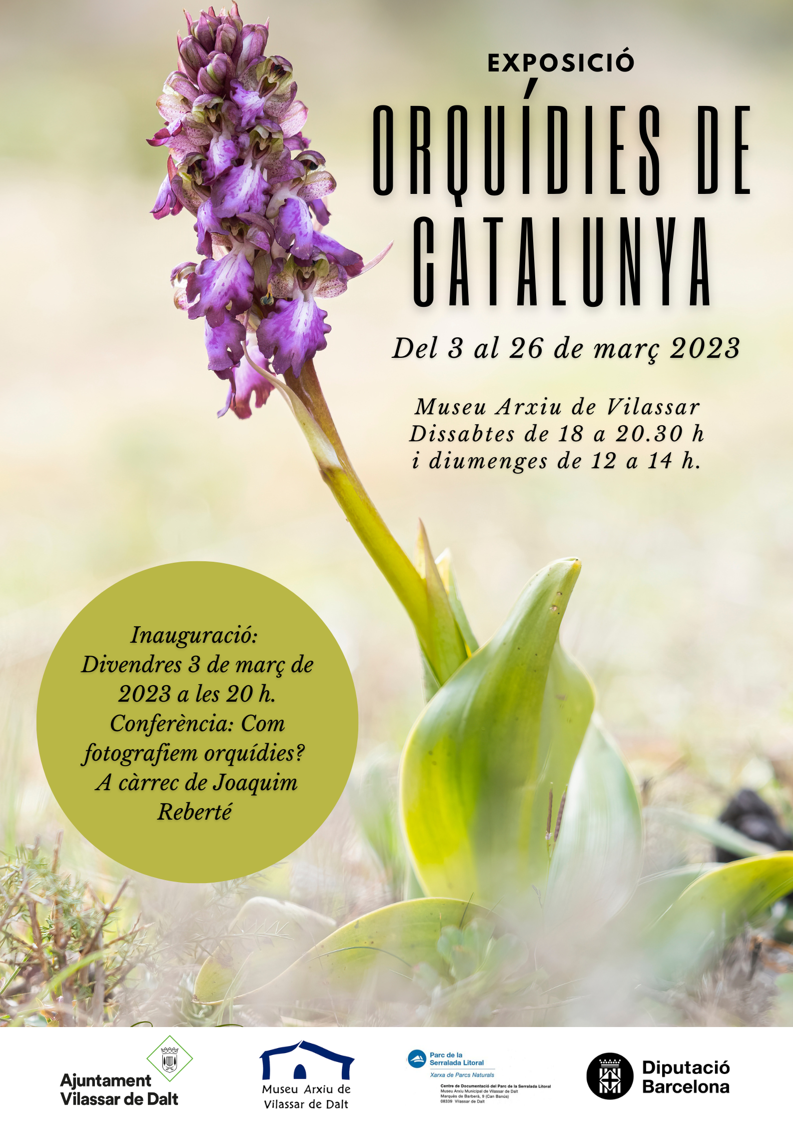 Exposició 'Orquídies de Catalunya'