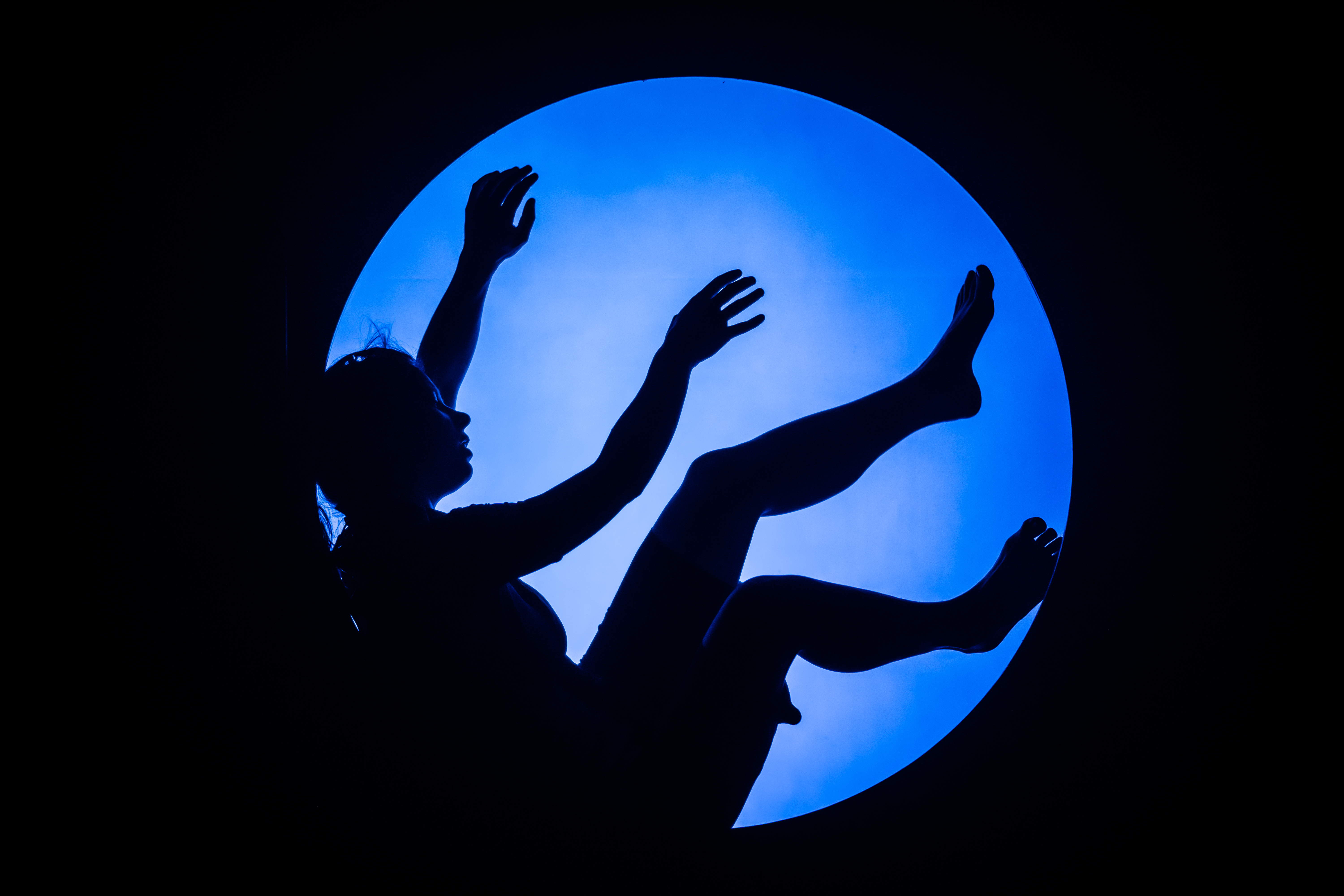 'Dins el cor del m&oacute;n'