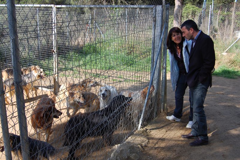 L'alcalde visita el refugi d'animals