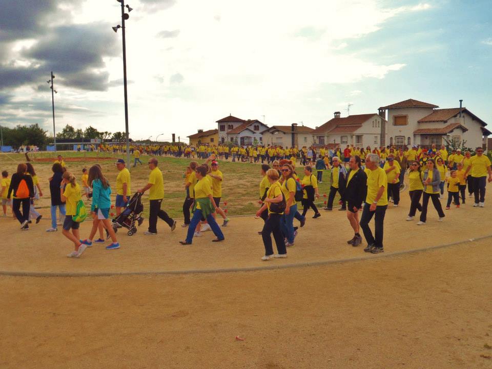 Caminada càncer 2013