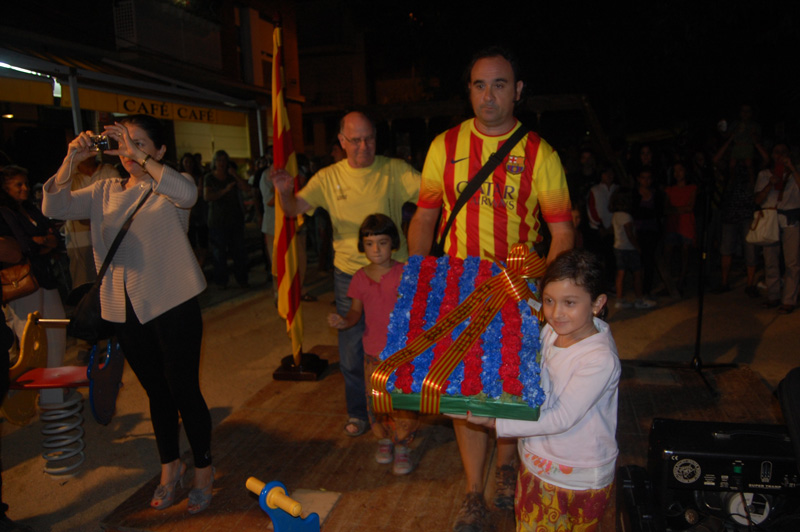 Diada 2013