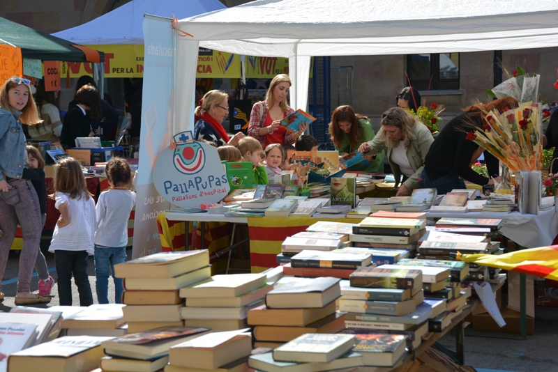 Sant jordi 2014