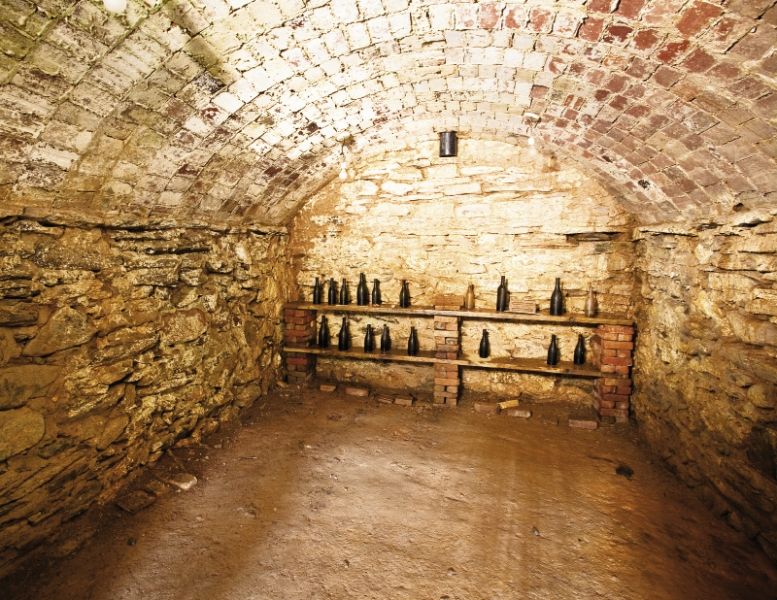 celler de la finca de guastavino a black mountain