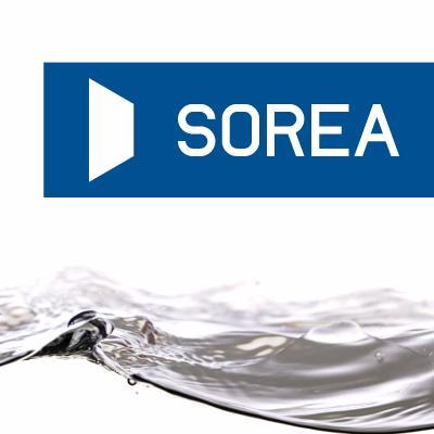 Sorea