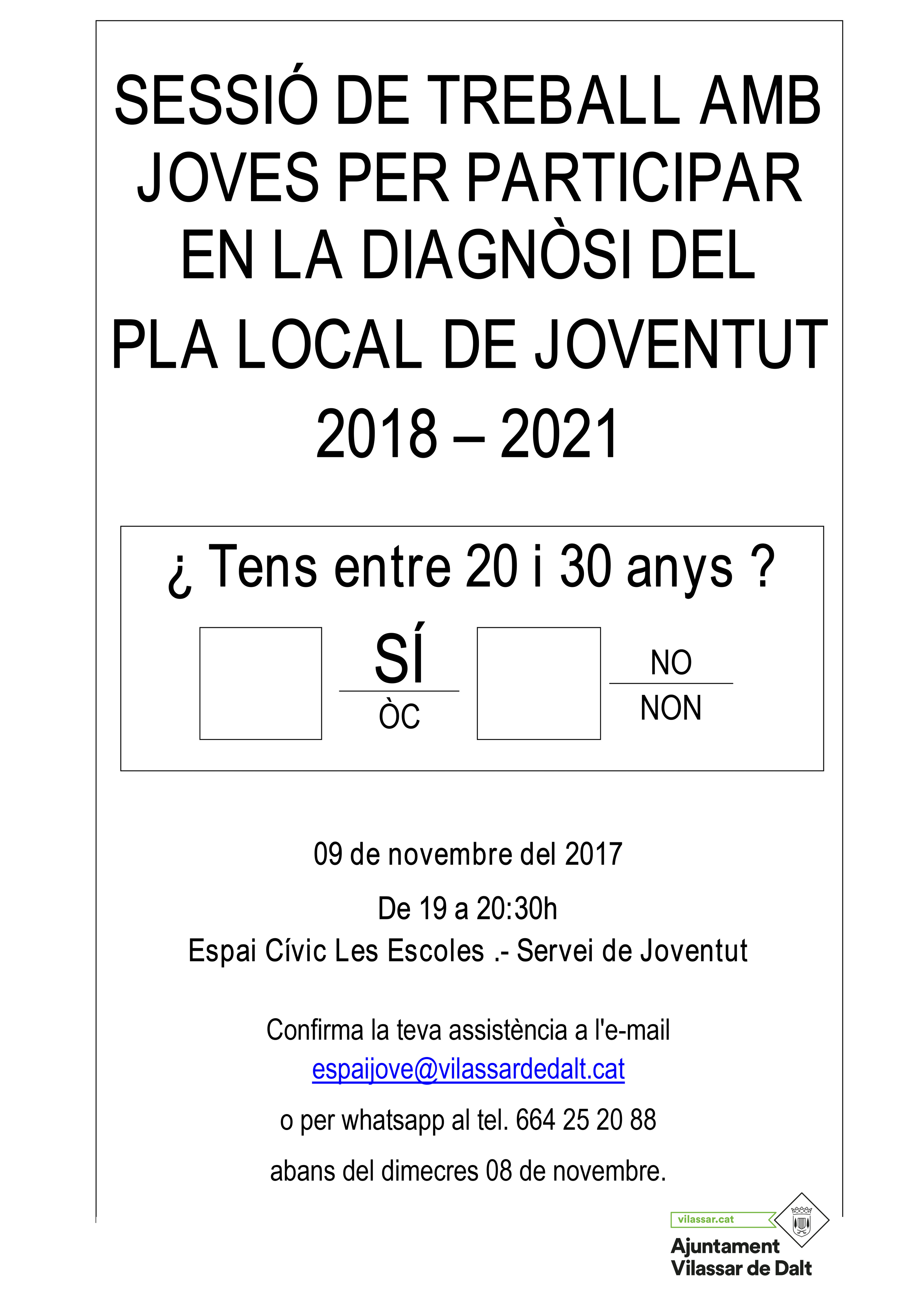 pla local joventut