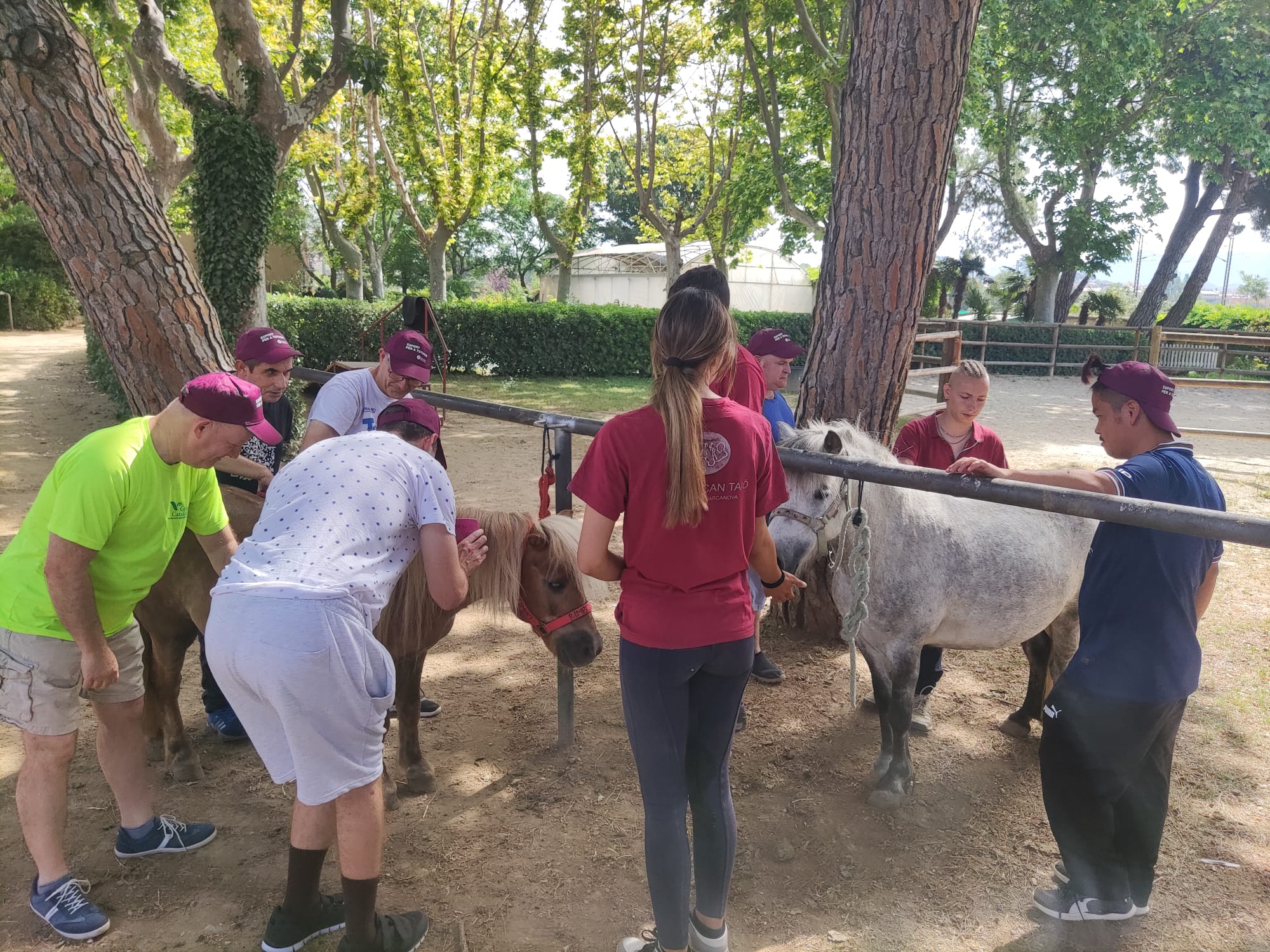 La Fundació Catalònia Creactiva gaudeix d'una jornada d'equitació adaptada gràcies a la Diputació i l'Ajuntament
