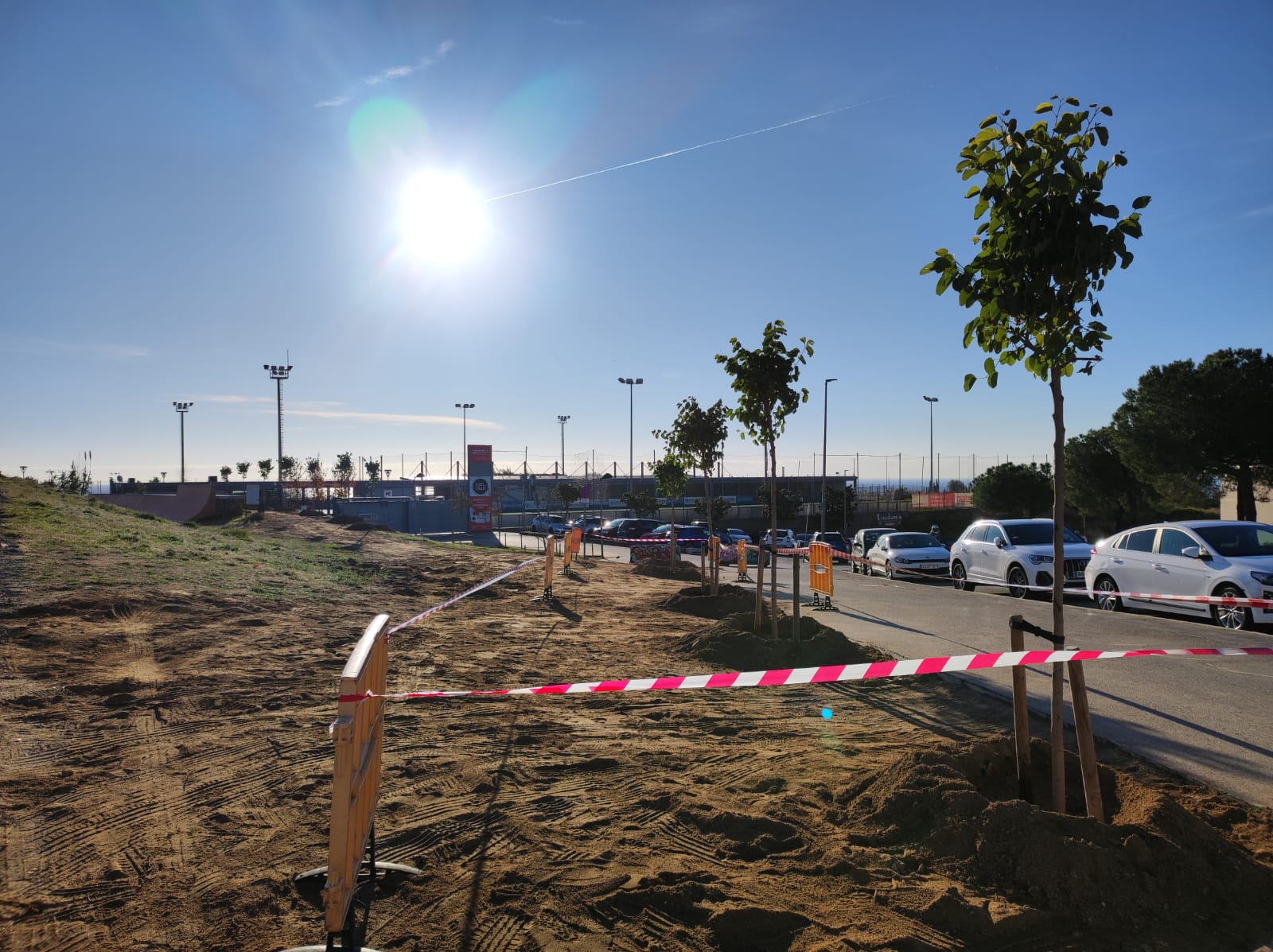 Continua el desplegament del Pla de Verd Urbà amb la plantació de diverses espècies d??arbres