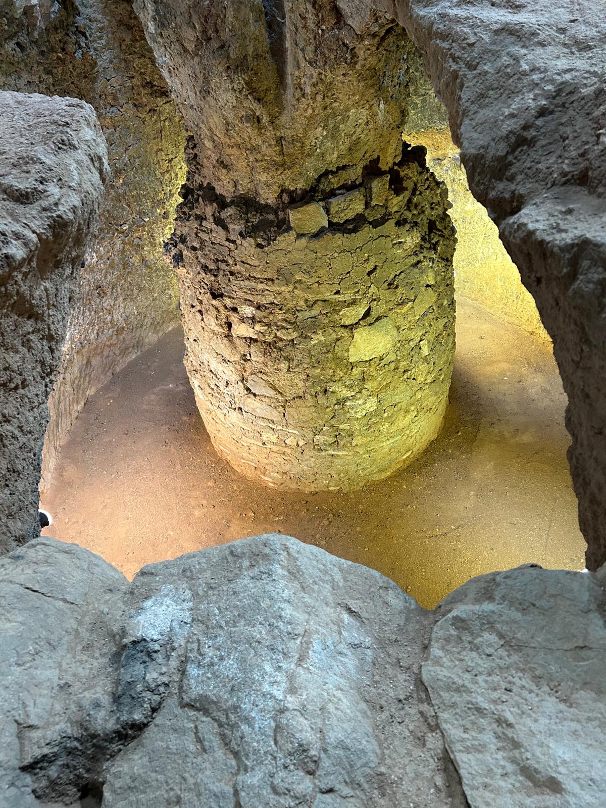 Fira del Bolet Fira del Bolet