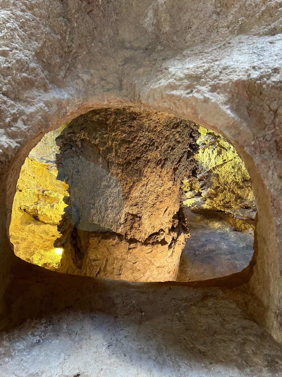 Fira del Bolet Fira del Bolet