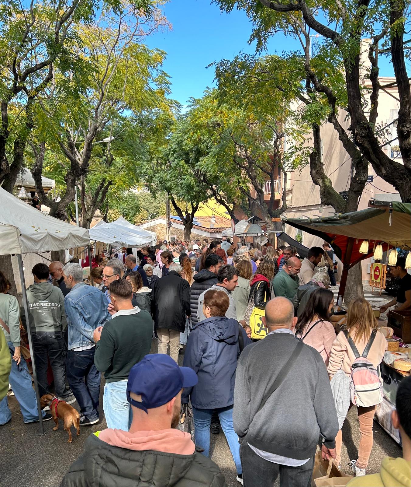 Fira del Bolet Fira del Bolet