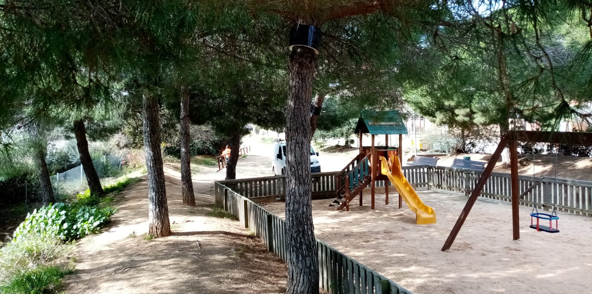  Actuacions contra la procession&agrave;ria als pins